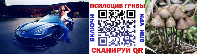 Галлюциногенные грибы Cubensis  гидра рабочий сайт  Жуковка  продажа наркотиков 